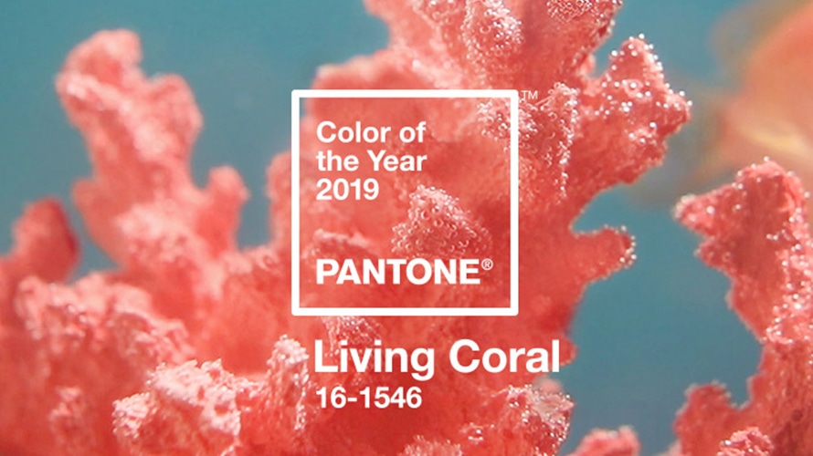 Hottest Interior Paint Colors - Living Coral